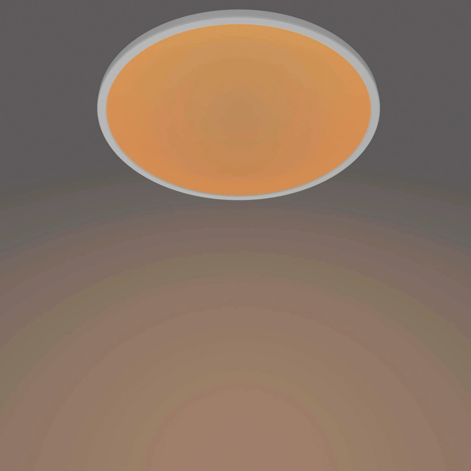 Philips LED-plafondlamp Superslim CL550 15W 2700K O250 mm wit