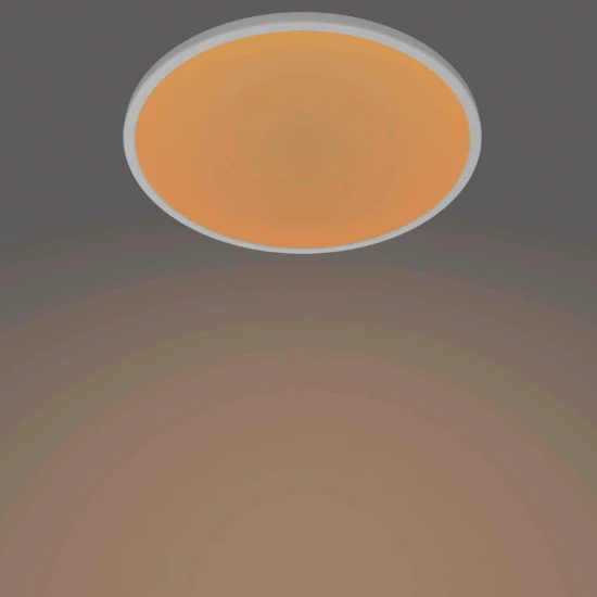 Philips LED-plafondlamp Superslim CL550 15W 2700K O250 mm wit