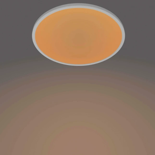 Philips LED-plafondlamp Superslim CL550 15W 2700K O250 mm wit