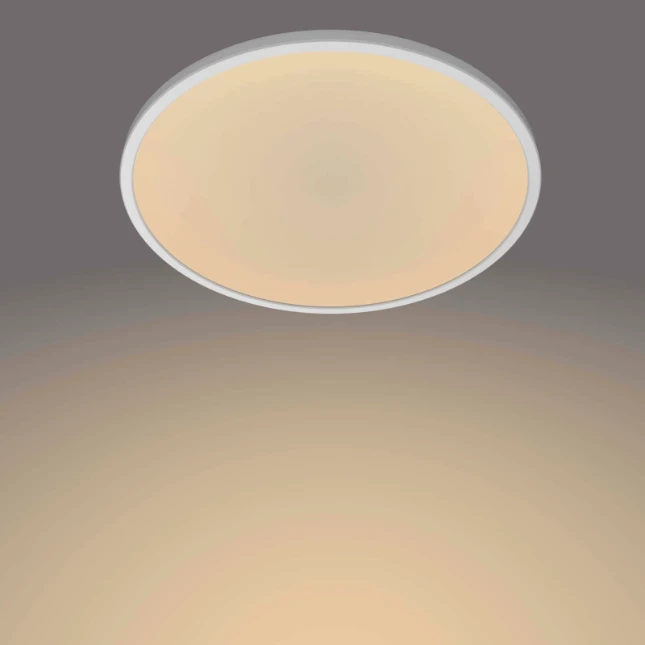 Philips LED-plafondlamp Superslim CL550 15W 2700K O250 mm wit