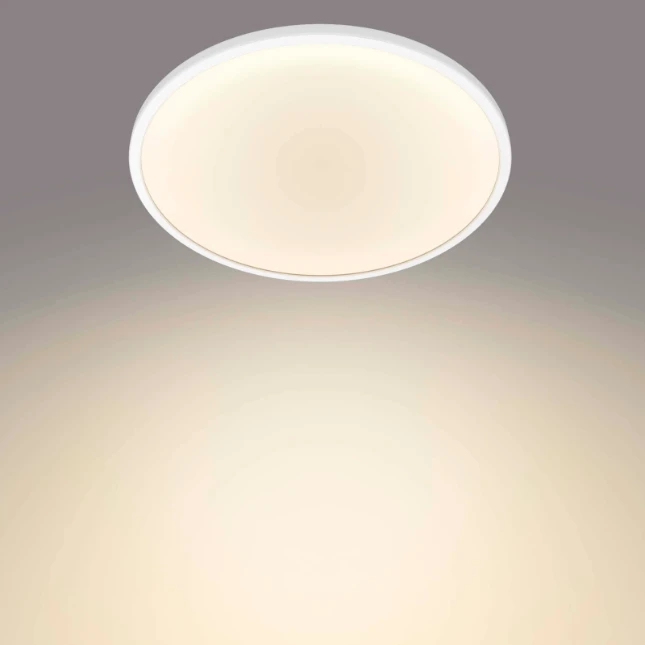 Philips LED-plafondlamp Superslim CL550 15W 2700K O250 mm wit