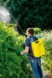 Gloria Rugspuit Pro 1800 met draagsysteem/verlengstuk - 18L