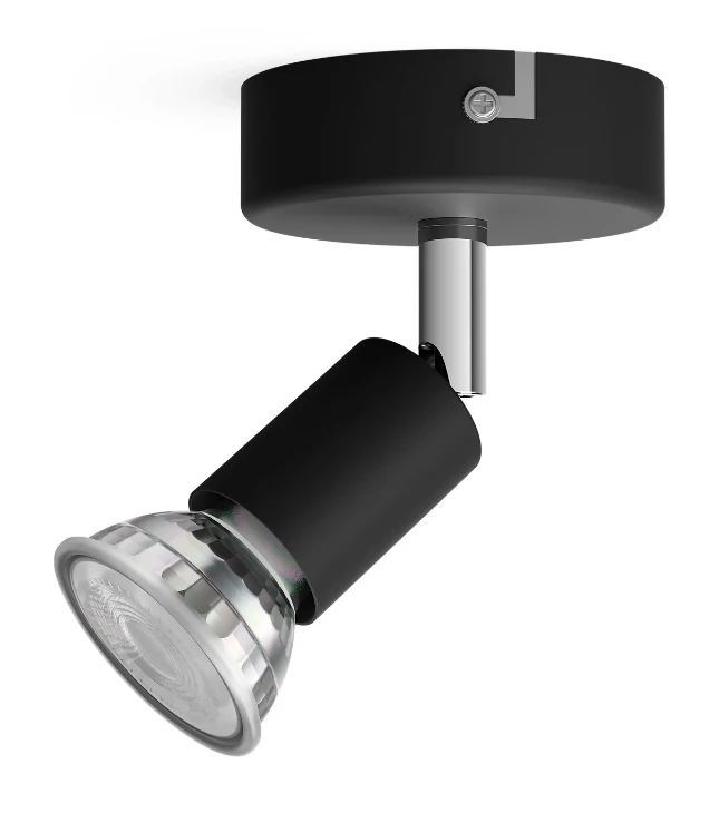 Philips Opbouwspot Limbali 50W zwart - 1-spot