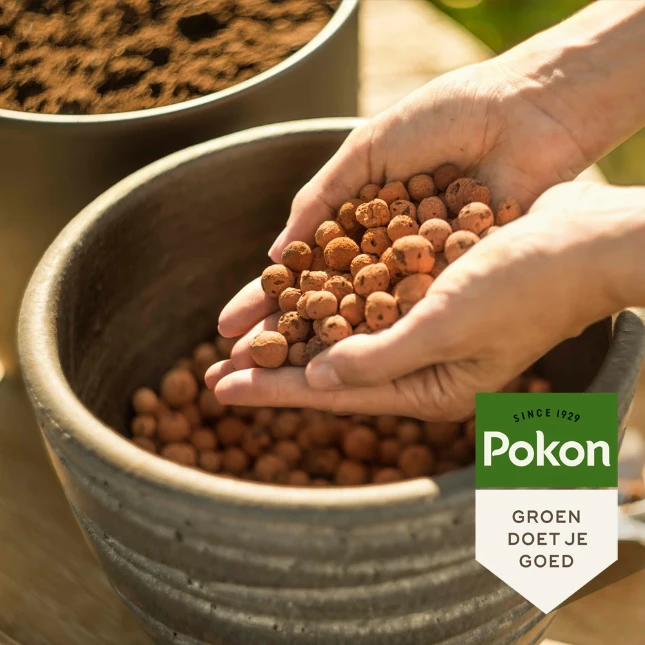 Pokon Hydrokorrels 10L
