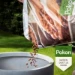 Pokon Hydrokorrels 10L