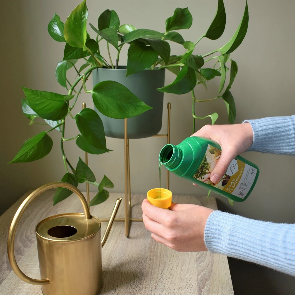 Pokon Kamerplanten Voeding 500ml