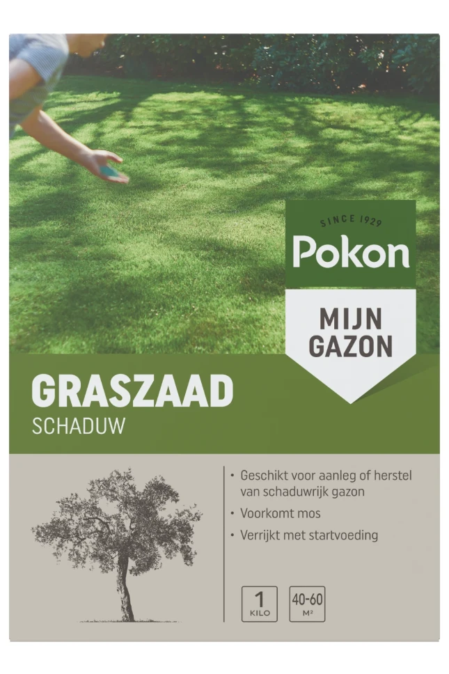 Pokon Graszaad
 Schaduw