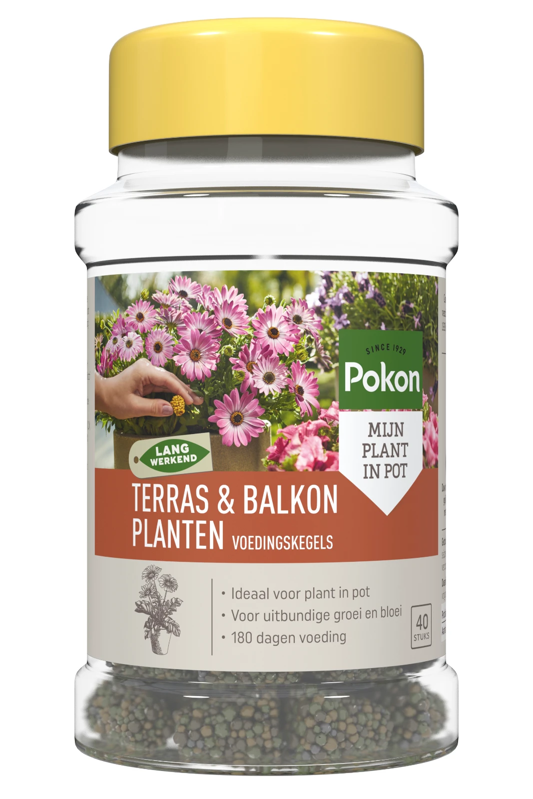 Pokon Terras & Balkon Planten Voedingskegels (40 stuks)