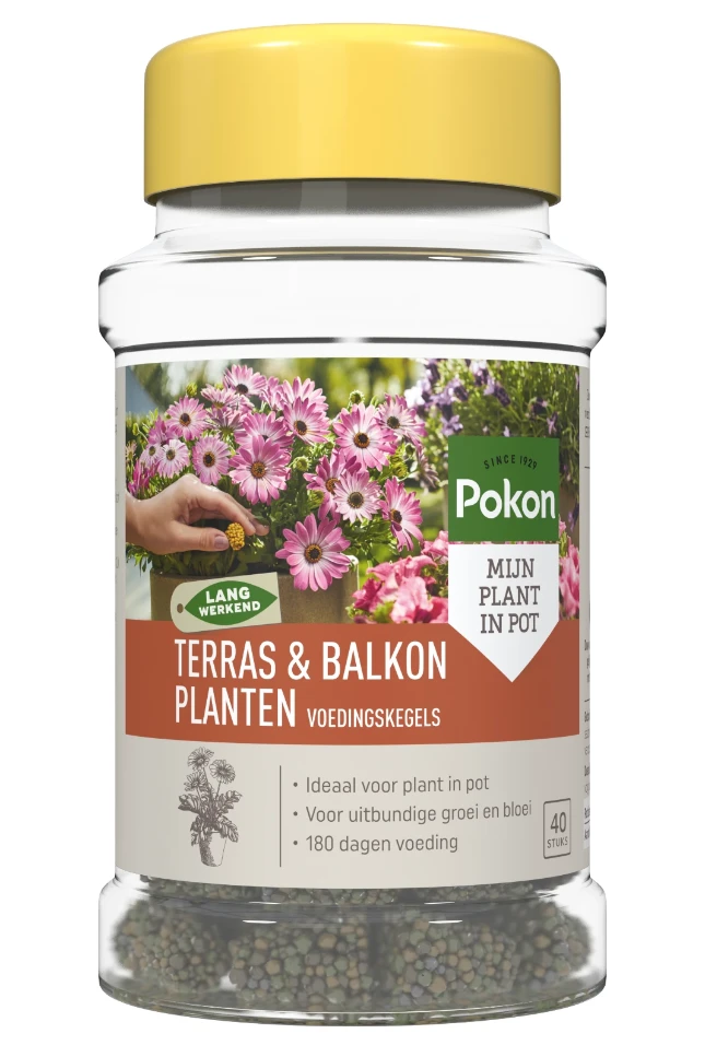 Pokon Terras & Balkon Planten Voedingskegels (40 stuks)