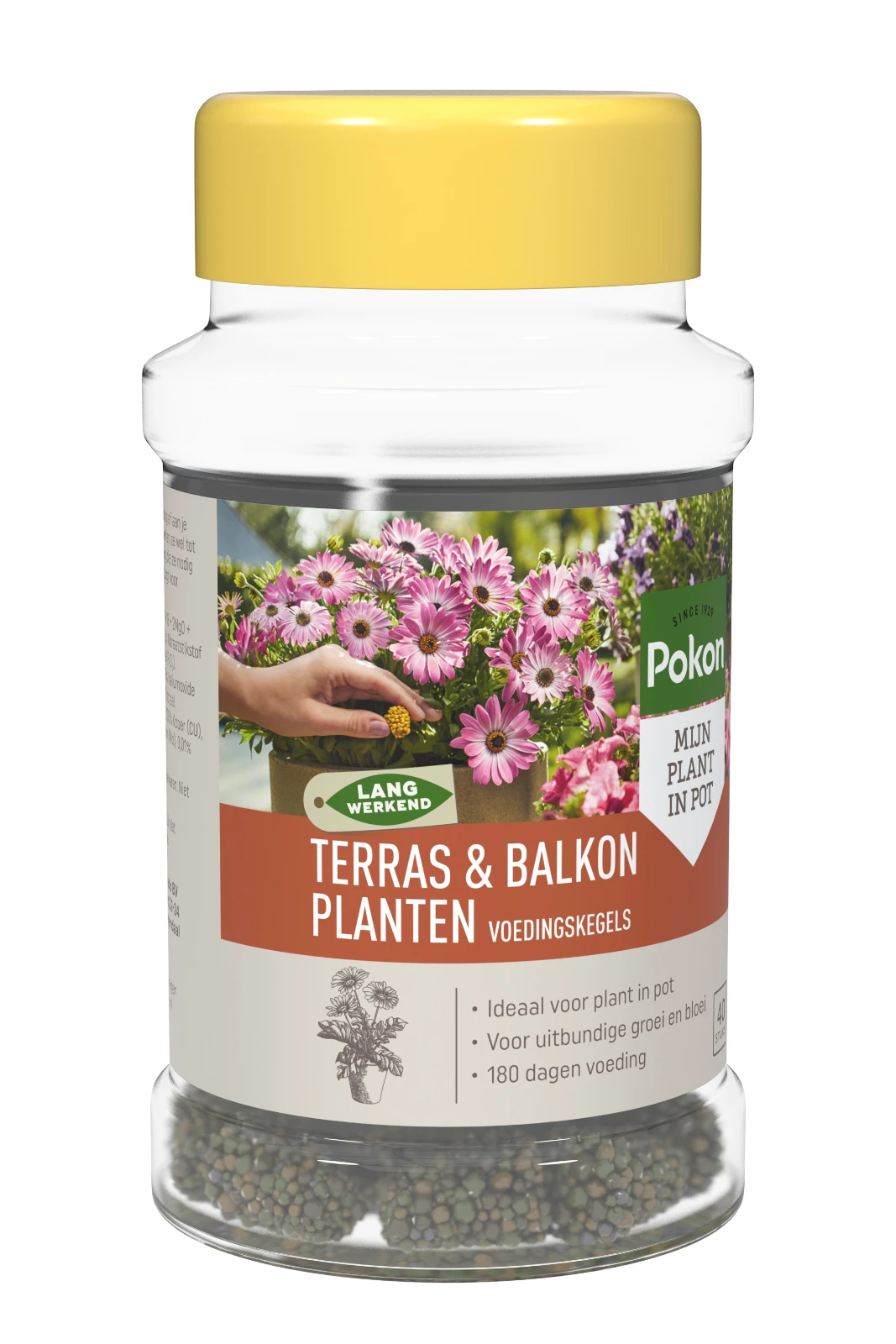 Pokon Terras & Balkon Planten Voedingskegels (40 stuks)