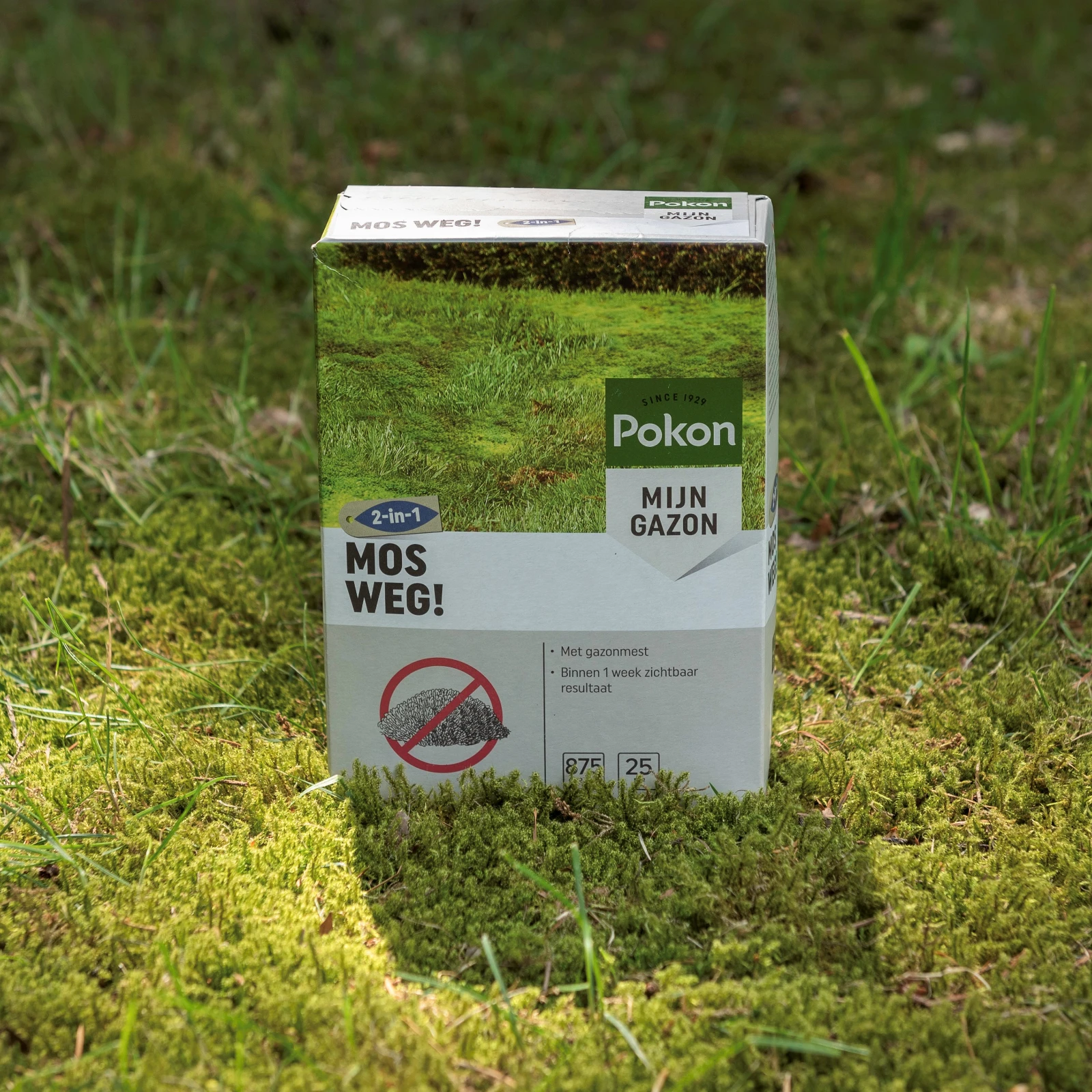 Pokon Mos Weg! 25 m² 875 gram (2-in-1)