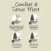 Pokon Conifeer & Taxus Mest 1kg