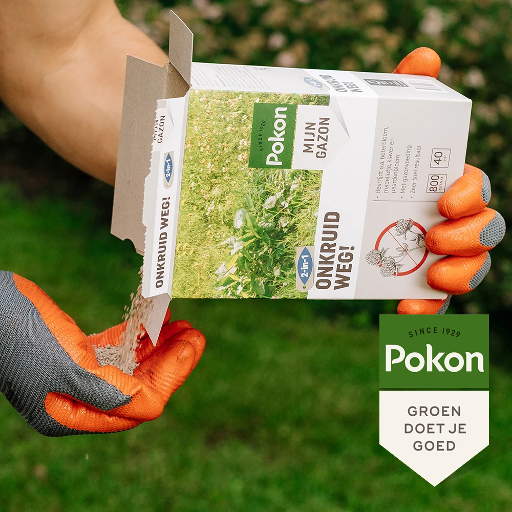 Pokon Onkruid Weg! 40 m² 800 gram (2-in-1)