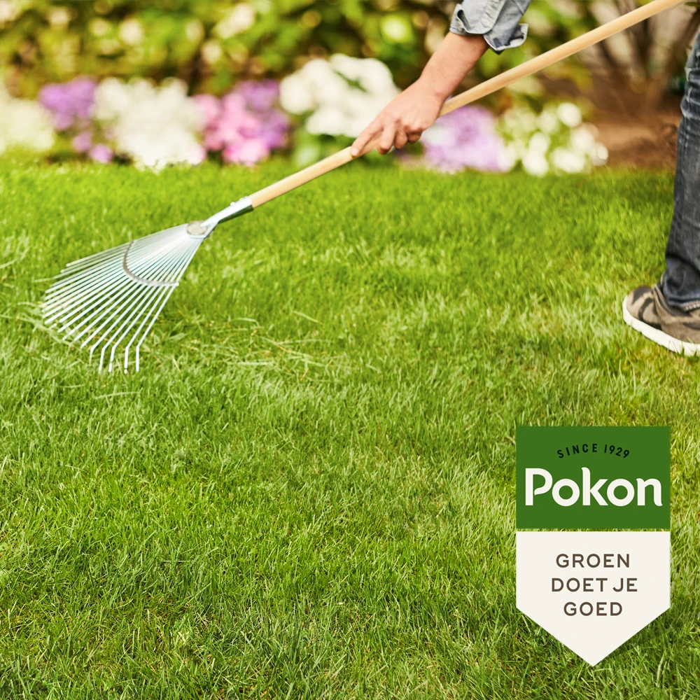 Pokon Gazonmest met Kalk 250m² (3-in-1)
