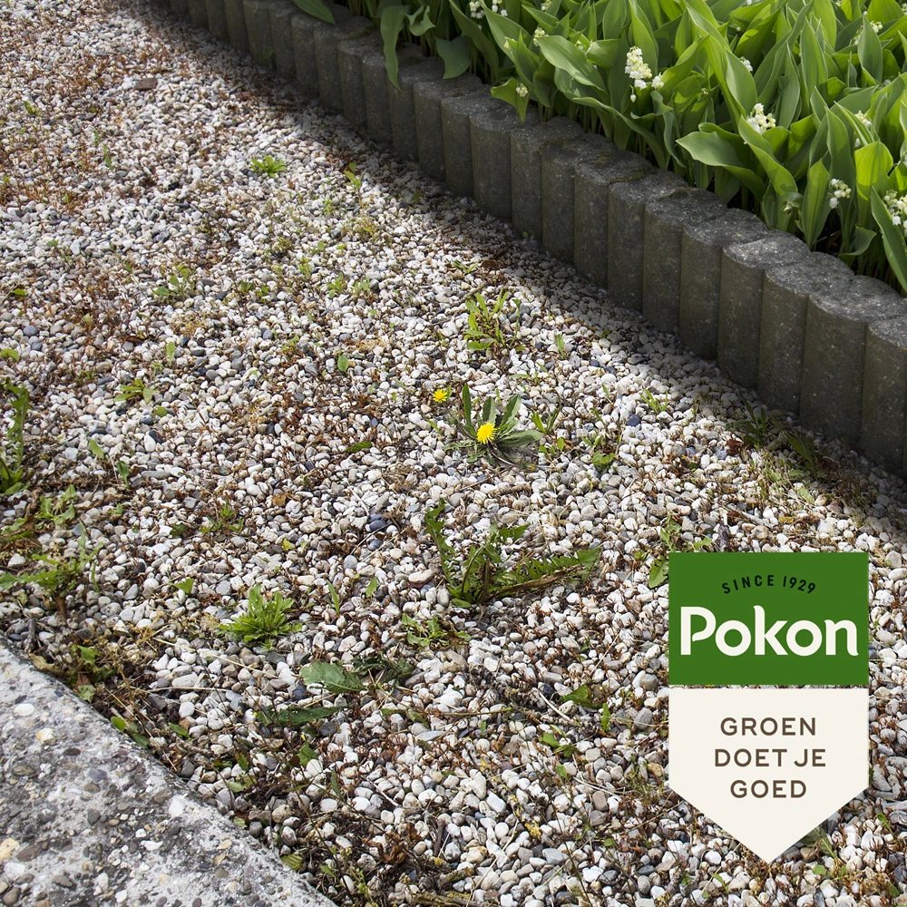 Pokon Tegen Onkruid Concentraat 450ml