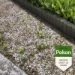 Pokon Tegen Onkruid Concentraat 450ml
