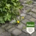 Pokon Tegen Onkruid Spray 1L