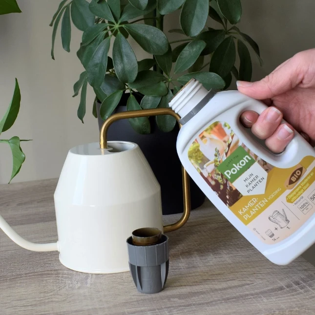Pokon Bio Kamerplanten Voeding 1000ml