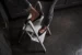 W.steps Aluminum trap Vikingstep Mini