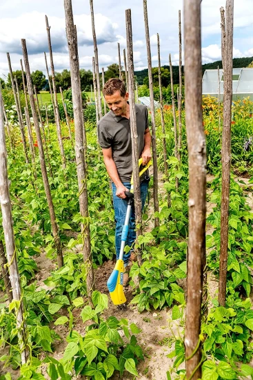 Gloria Grondwoeler Gardenboy PLUS 400W
