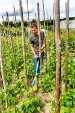 Gloria Grondwoeler Gardenboy PLUS 400W