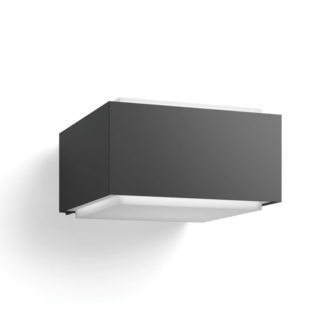 Philips Buitenwandlamp Hedgehog 1x42W antraciet