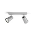 Philips Plafondspot Paisley aluminium 2-spots