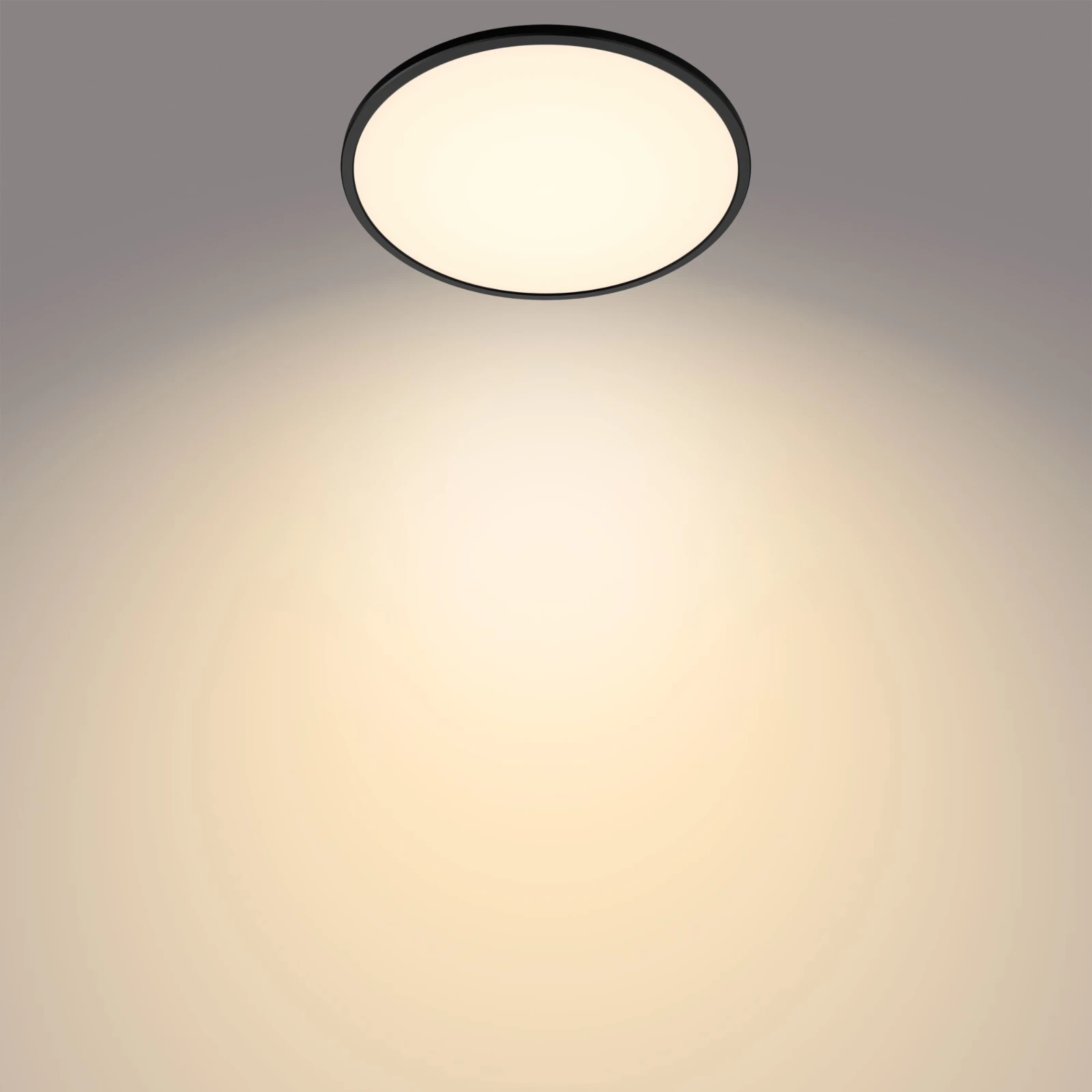 Philips LED-plafondlamp Superslim CL550 15W 2700K O250 mm zwart