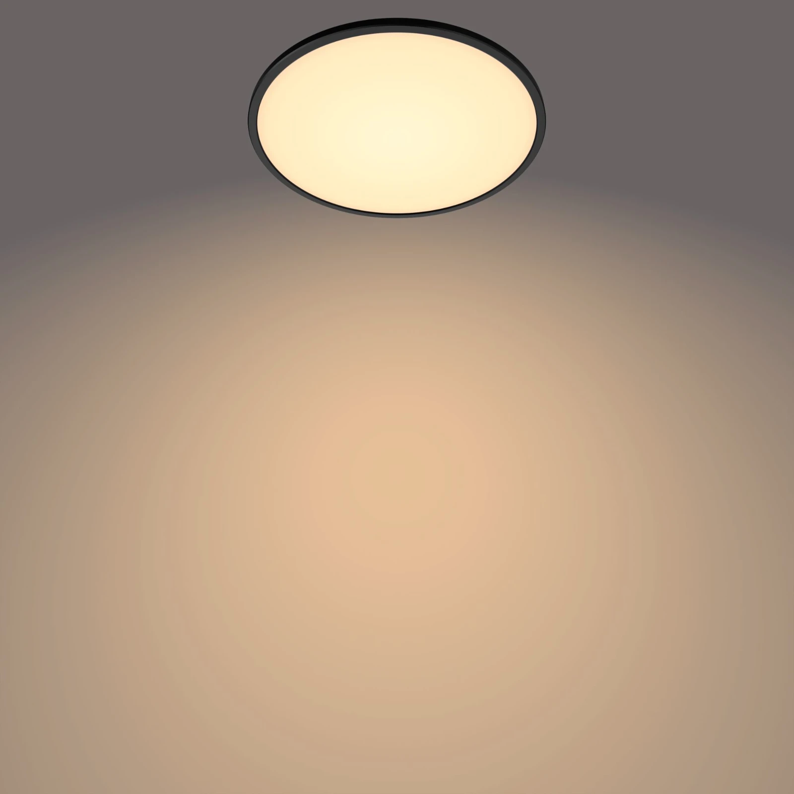 Philips LED-plafondlamp Superslim CL550 15W 2700K O250 mm zwart