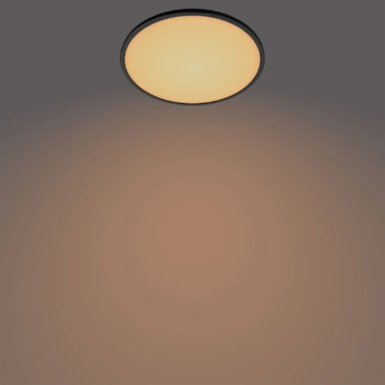 Philips LED-plafondlamp Superslim CL550 15W 2700K O250 mm zwart