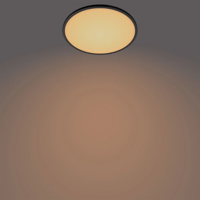 Philips LED-plafondlamp Superslim CL550 15W 2700K O250 mm zwart