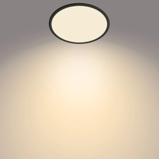 Philips LED-plafondlamp Superslim CL550 18W 2700K O300 mm zwart