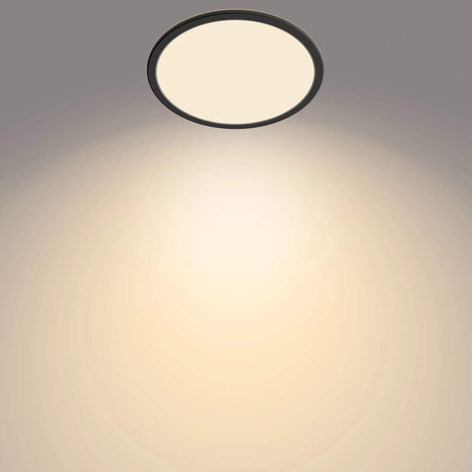 Philips LED-plafondlamp Superslim CL550 15W 2700K O250 mm zwart