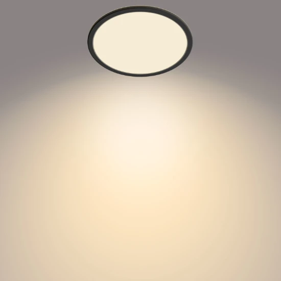 Philips LED-plafondlamp Superslim CL550 15W 2700K O250 mm zwart