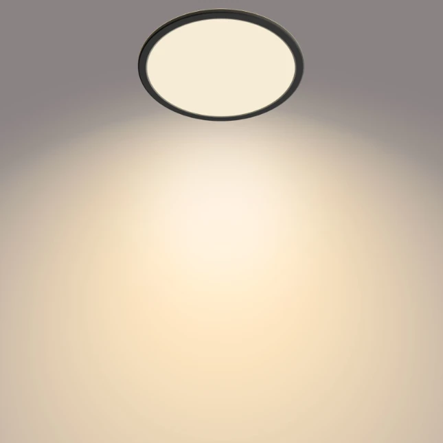 Philips LED-plafondlamp Superslim CL550 15W 2700K O250 mm zwart