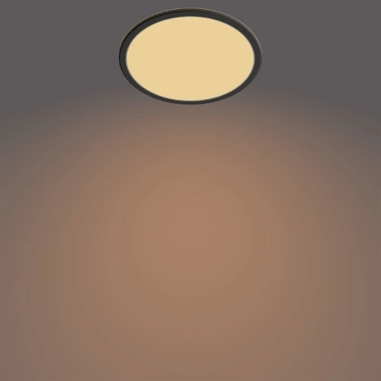 Philips LED-plafondlamp Superslim CL550 15W 2700K O250 mm zwart