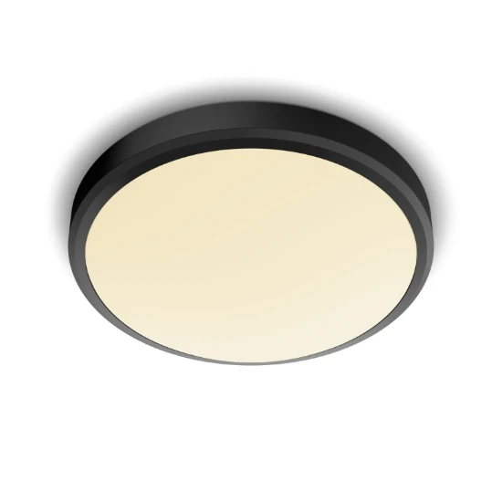 Philips LED-Plafondlamp Doris CL257 17W 27K IP44 O313 mm zwart