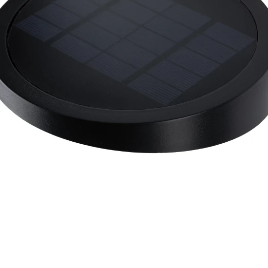 Paulmann Outdoor Solar Buitenwandlamp Ryse IP44 met bewegingsmelder
