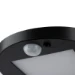 Paulmann Outdoor Solar LED-bolderlamp Ryse IP44 met bewegingsmelder