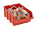 Raaco-bacs de rangement BIN5 rouge