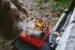 Rothenberger Camping Kooktoestel Gourmet Piezo RS 220