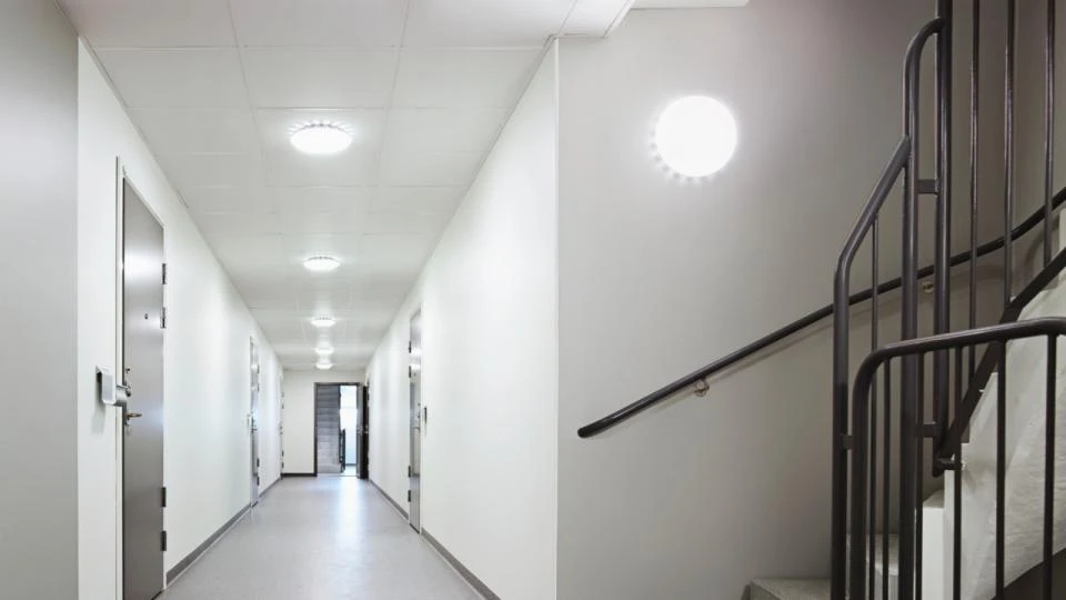 Steinel Lampe à dét. intér. RS PRO S20 SC BF PC