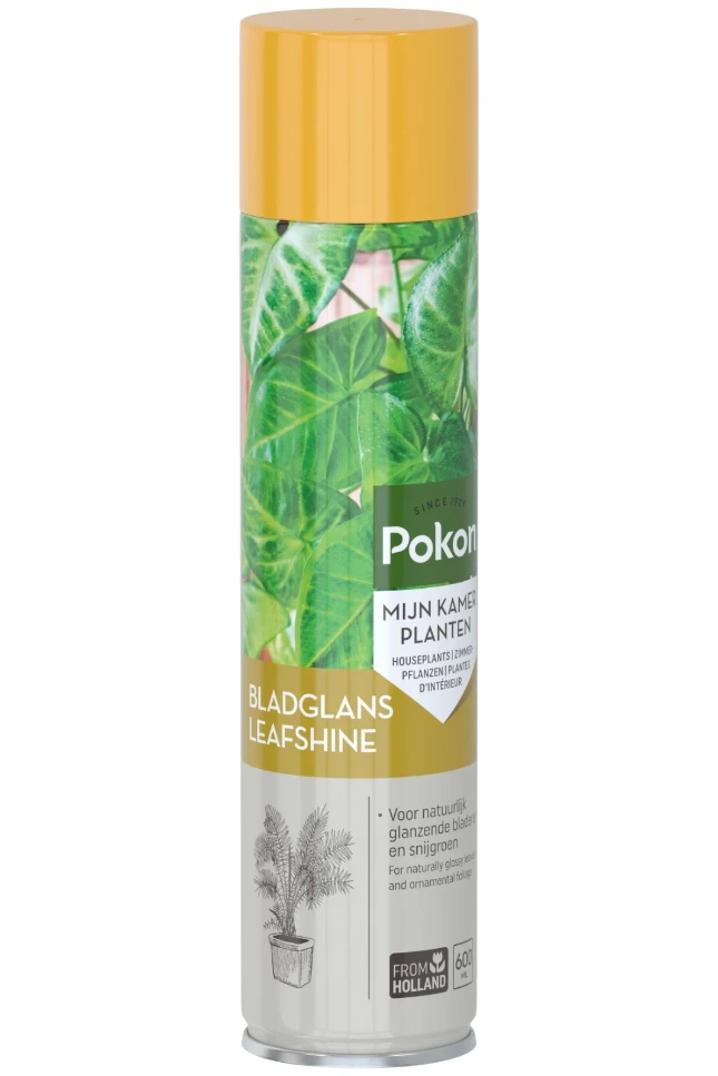 Pokon Bladglans kamerplanten