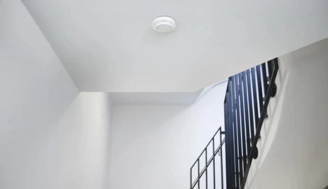 Steinel Sensor PD-24 ECO DALI-2 IPD DE WS