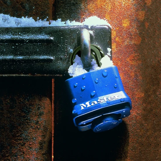 MasterLock Hangslot 40mm blauw - gelamineerd staal