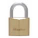 MasterLock Hangslot 50mm goud - 6-kant beugel 30mm