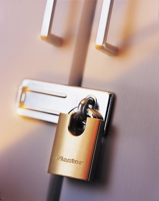 MasterLock-Cadenas massif 2250EURD - 50mm