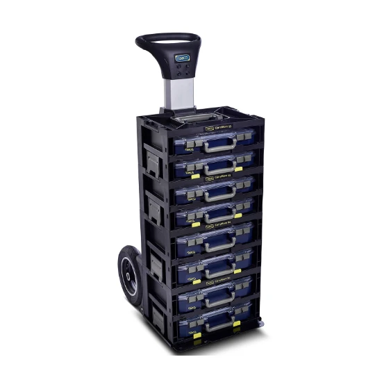 Raaco Opbergsysteem CarryMore 55 - met 2x CarryLite 55 4x8-16