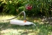 Hozelock Easymix 2in1 Tuimelcomposter