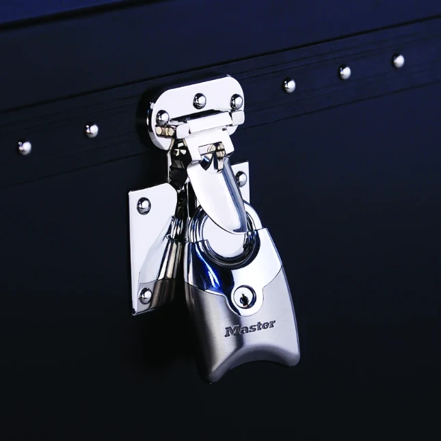 MasterLock Hangslot Fusion 20mm nikkel (2 stuks)